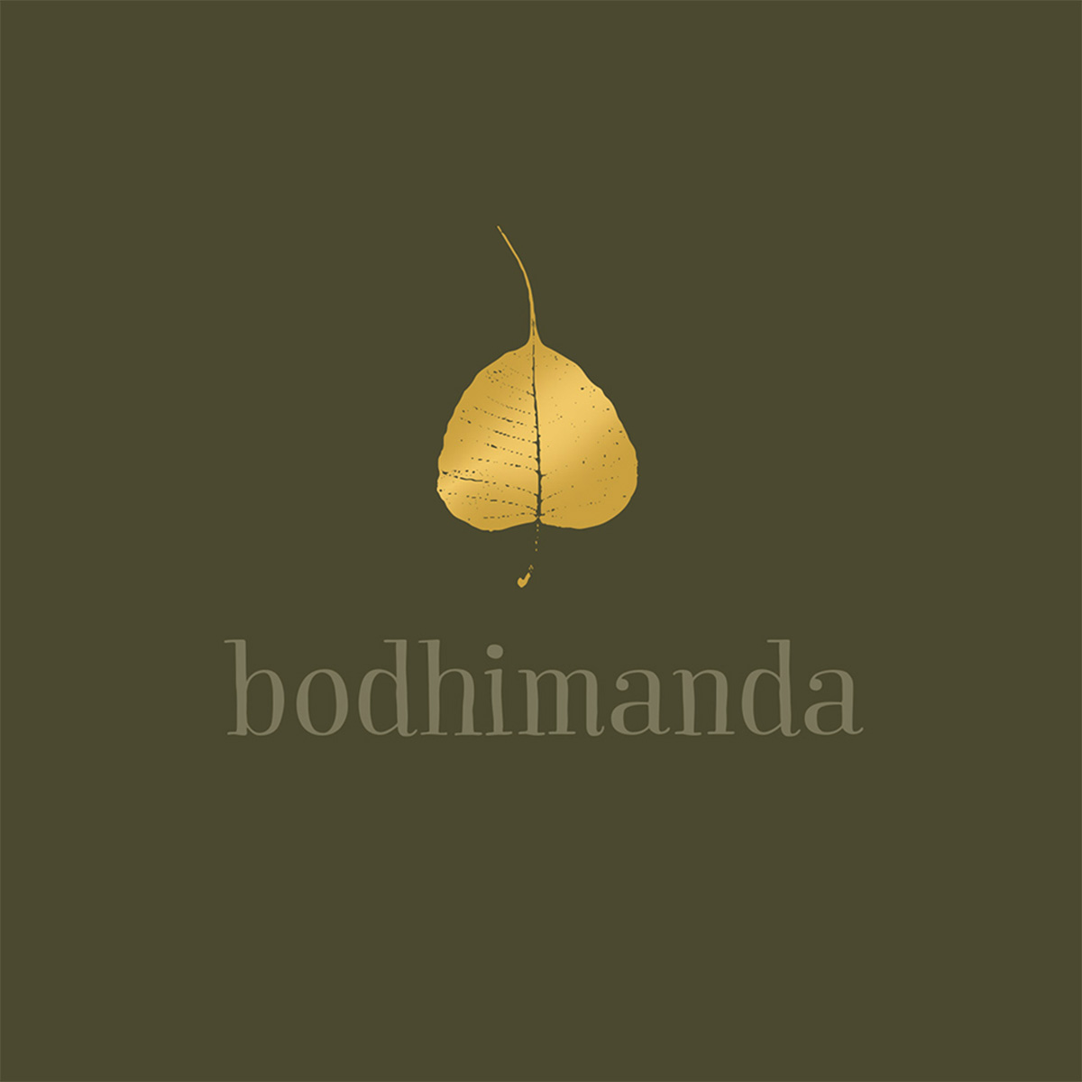 wp service branding bodhimanda 01